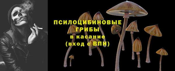 Альфа ПВП Инсар