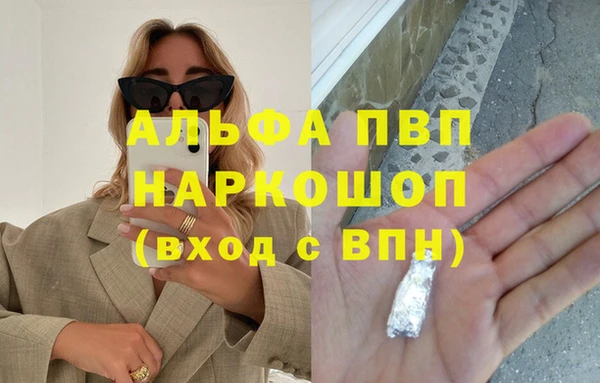 Альфа ПВП Инсар