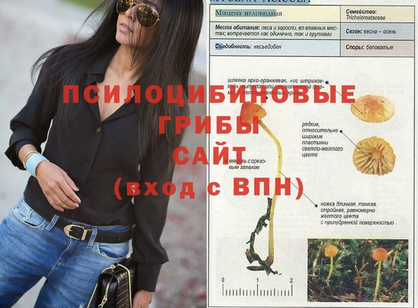 круглые Инта