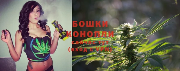 Альфа ПВП Инсар
